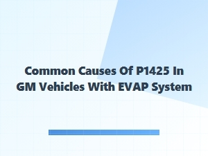 Common Causes of P1425 in Gm Evap Systems