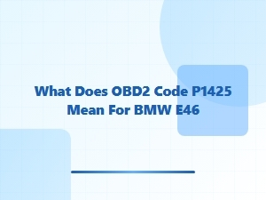 What Does Obd2 Code P1425 Mean for Bmw E46