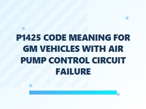 P1425 Code Meaning: Gm Air Pump Control Circuit Failure