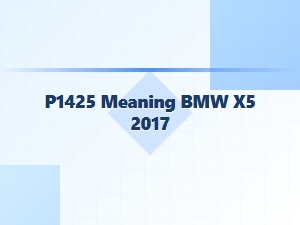 P1425 Code Meaning for Bmw X5 Vehicle-Specific Causes