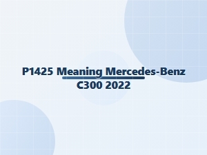 P1425 Code Meaning for Mercedes-Benz C300